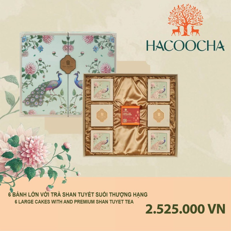 Bánh trung thu Pacific Hộp VIP Hacoocha 6 Bánh Lớn với Trà San Tuyết Thượng Hạng