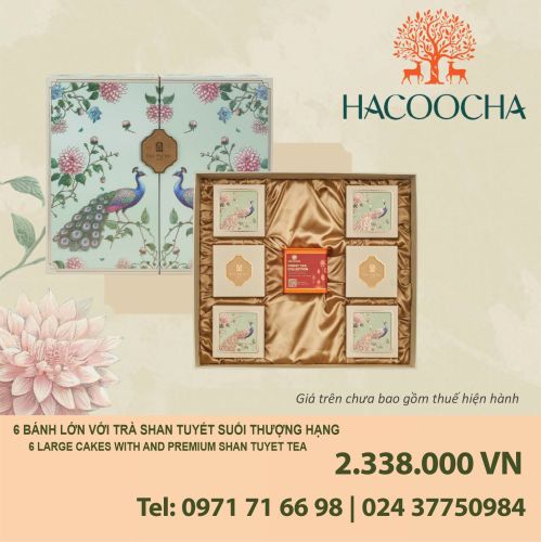 Bánh trung thu Pacific Hộp VIP 6 Bánh Lớn với Hộp Trà Hacocha